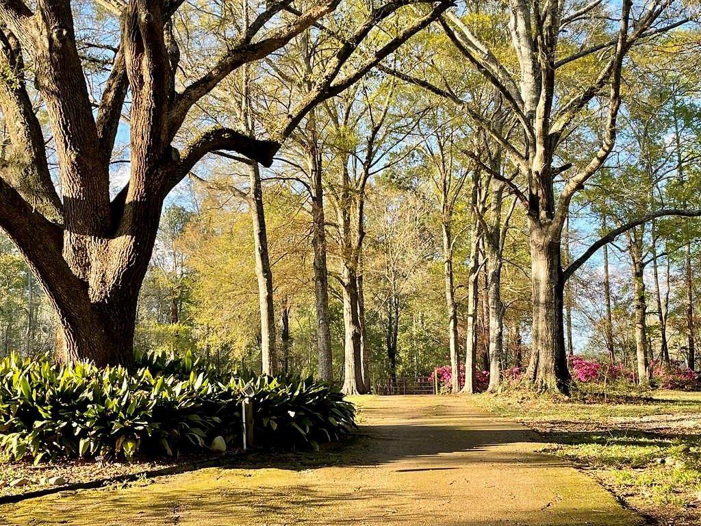 https://bt-photos.global.ssl.fastly.net/neworleans/orig_boomver_3_2527726-2.jpg
