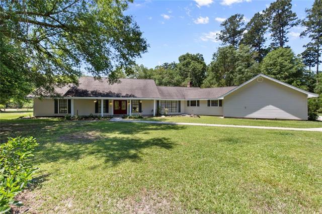 12422 Blackcat Road - Photo 1