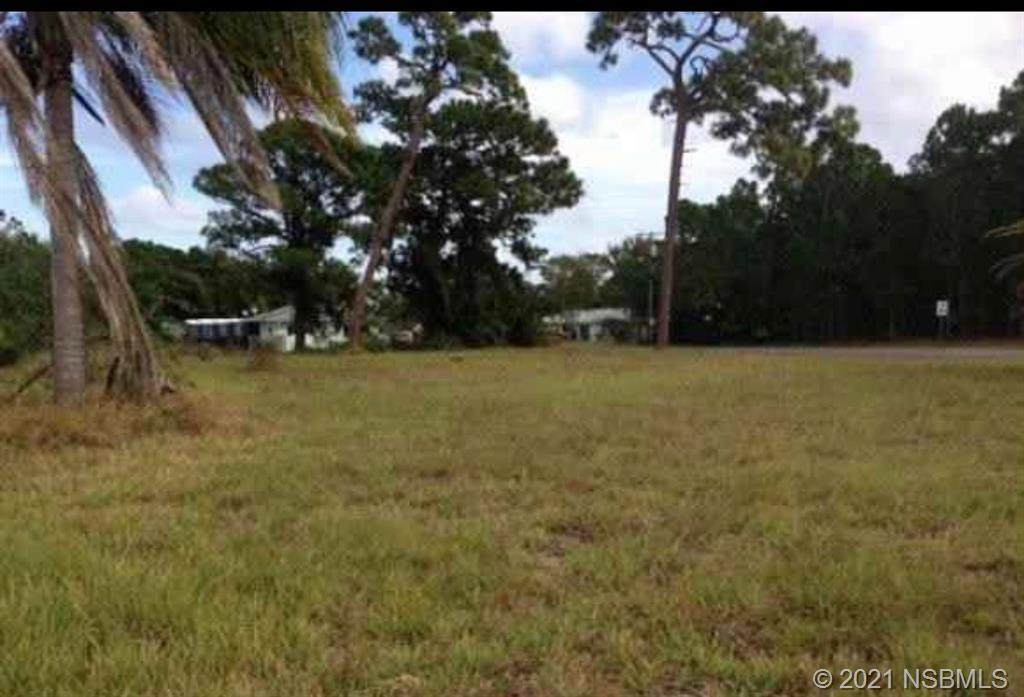 103 Palm Breeze Drive - Photo 1