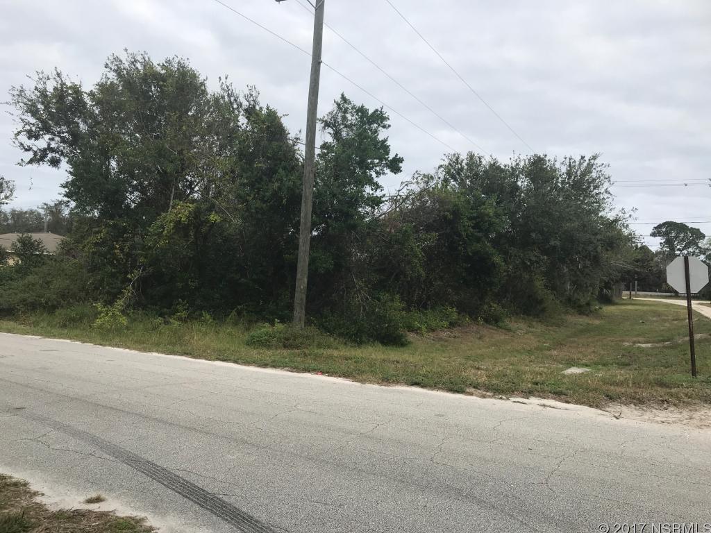 0 India Palm Drive - Photo 1