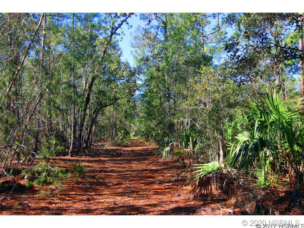 1785 Taylor Road - Photo 1