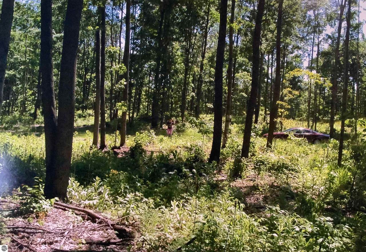 0 Robinson Ridge - Photo 1
