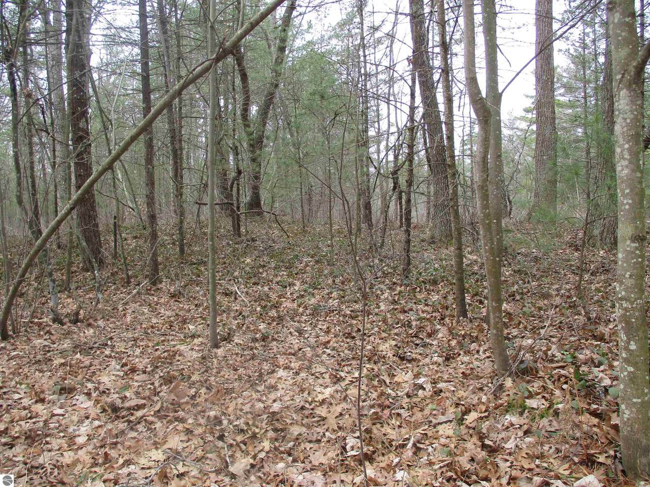 00 Ausable Point Road - Photo 1
