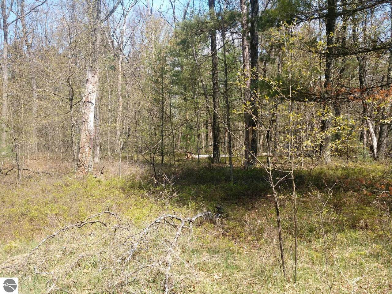 Lot 5 Chippewa Trail - Photo 1