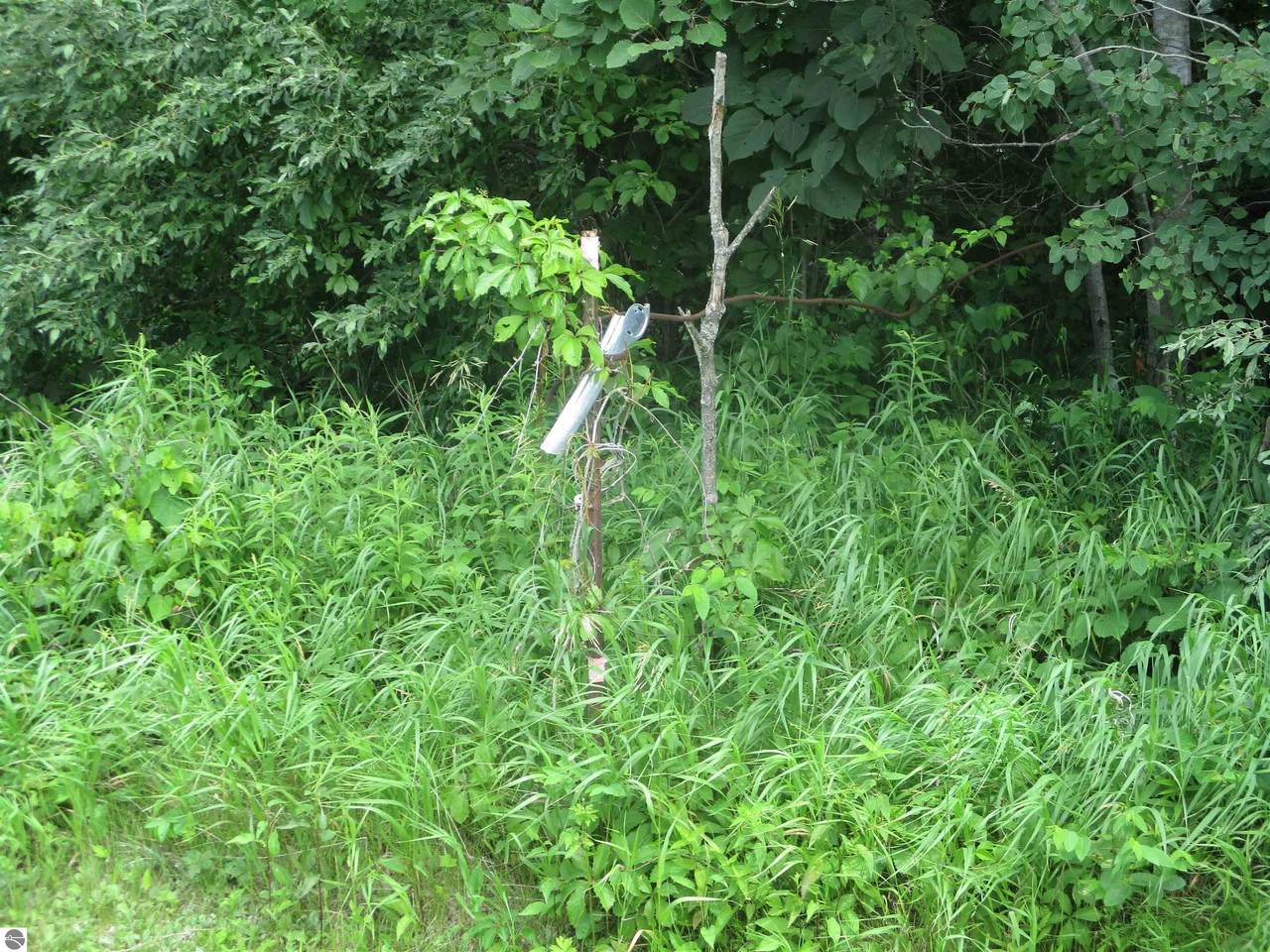 0 Russell Lake Road - Photo 1