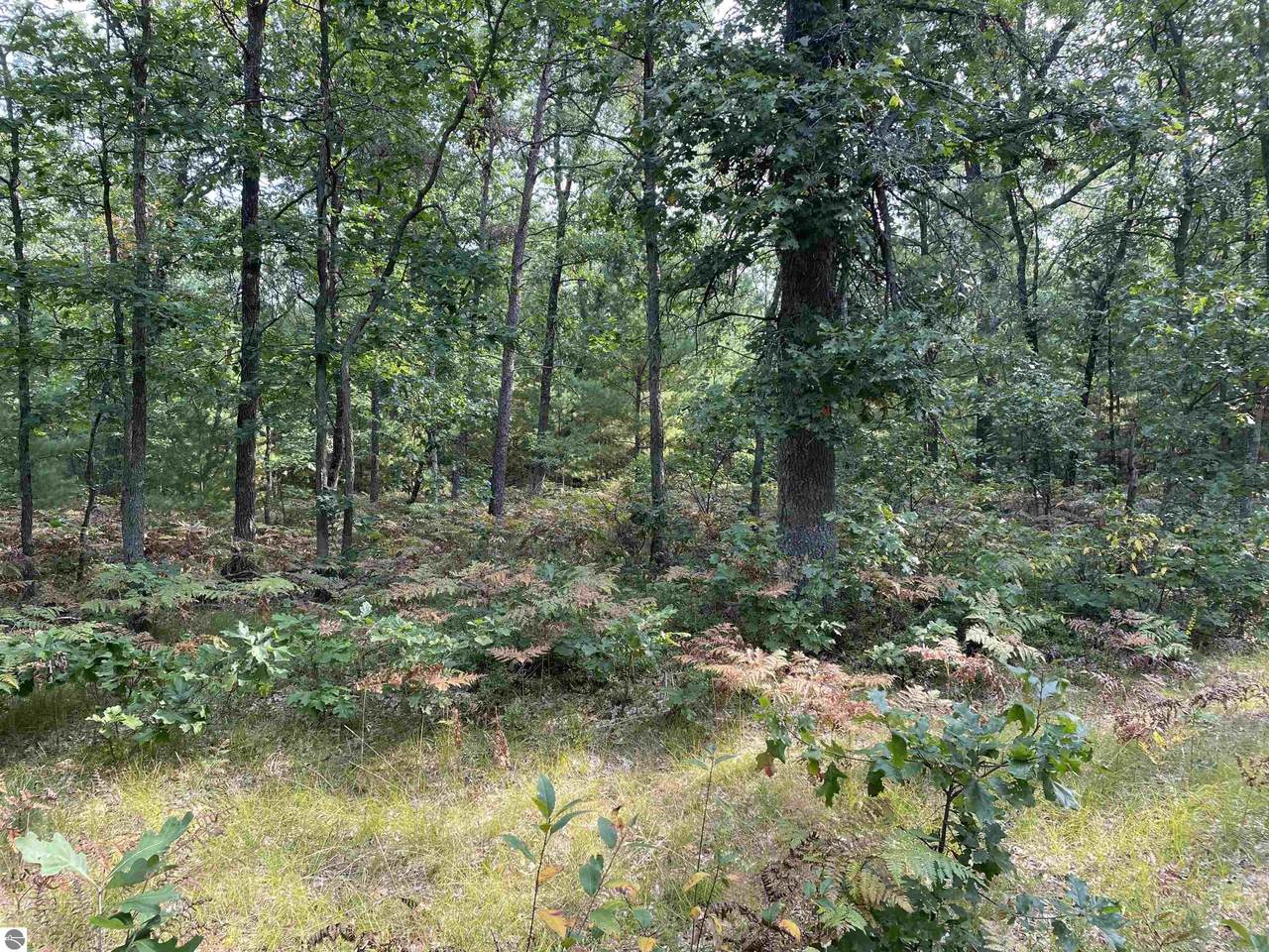 00 Koenig - Photo 1