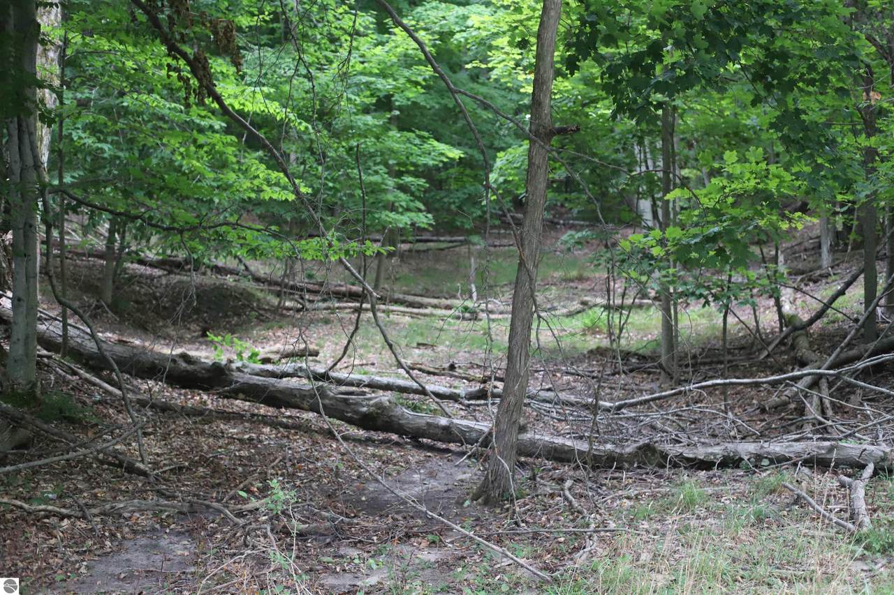 Parcel B Highland Drive - Photo 1