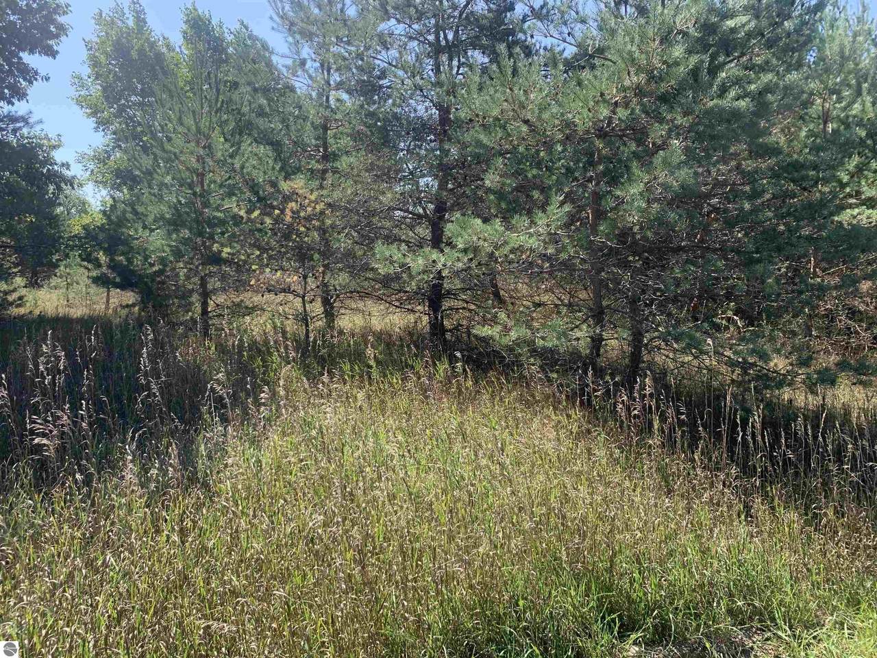 7700 Drew Road - Photo 1