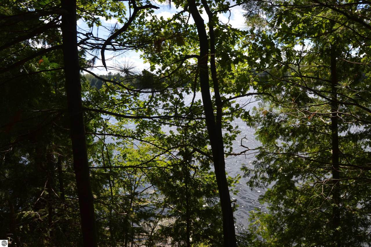 X River Bluffs Drive - Photo 1