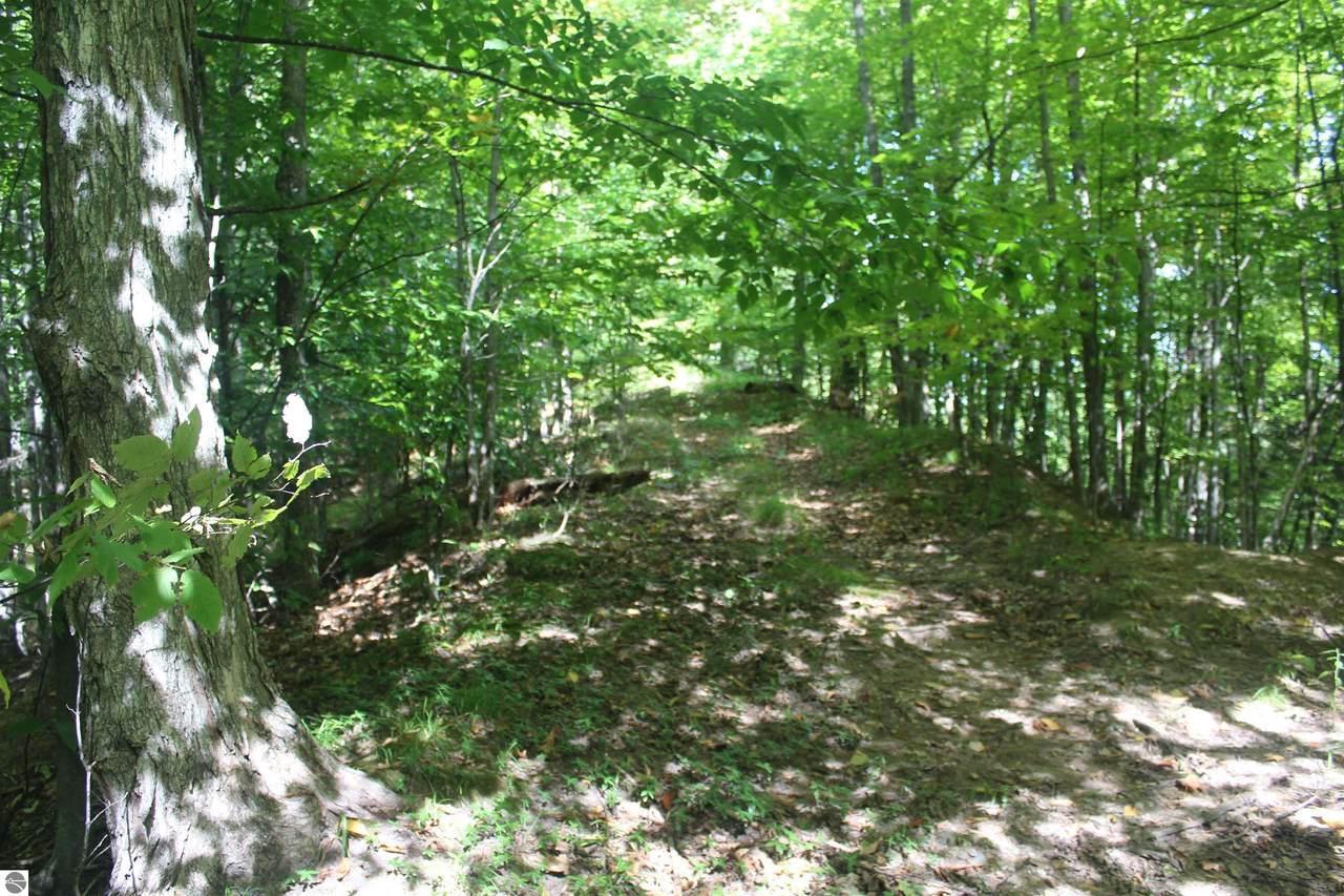 00 Harbor Beach Drive - Photo 1