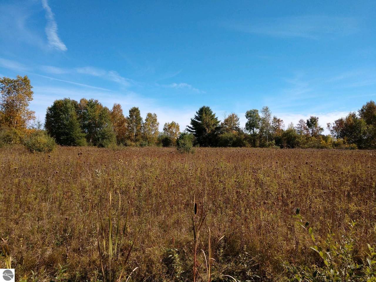 Parcel C Putnam Road - Photo 1