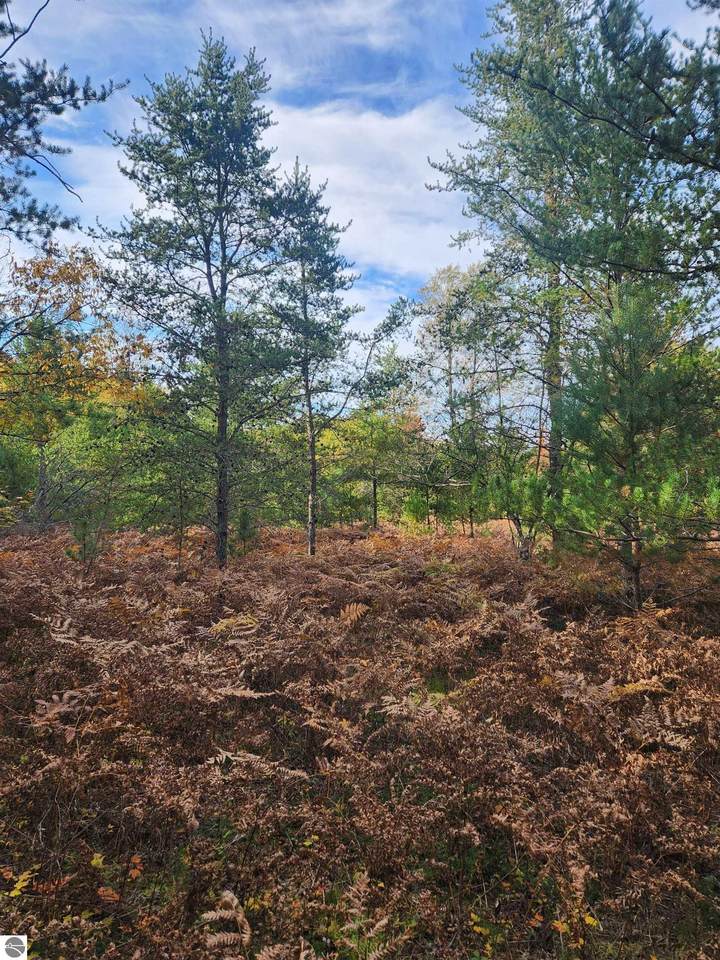 22496 14 Mile Road - Photo 1