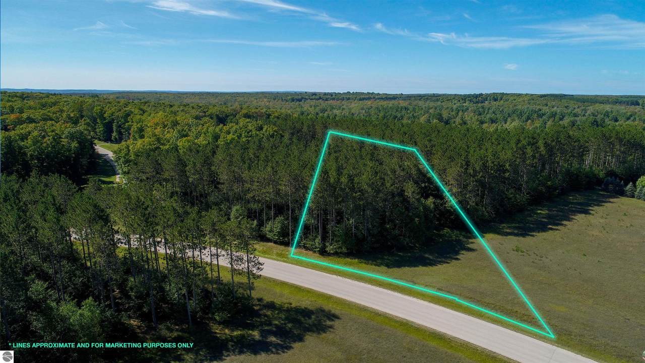 5200 Timber Flats Drive - Photo 1
