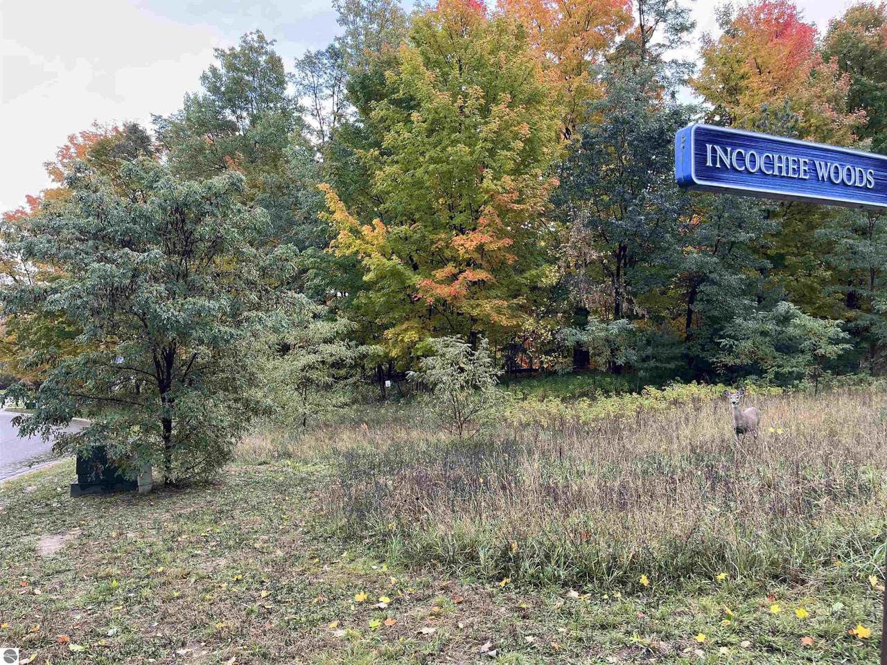 0 Incochee Woods Drive - Photo 1