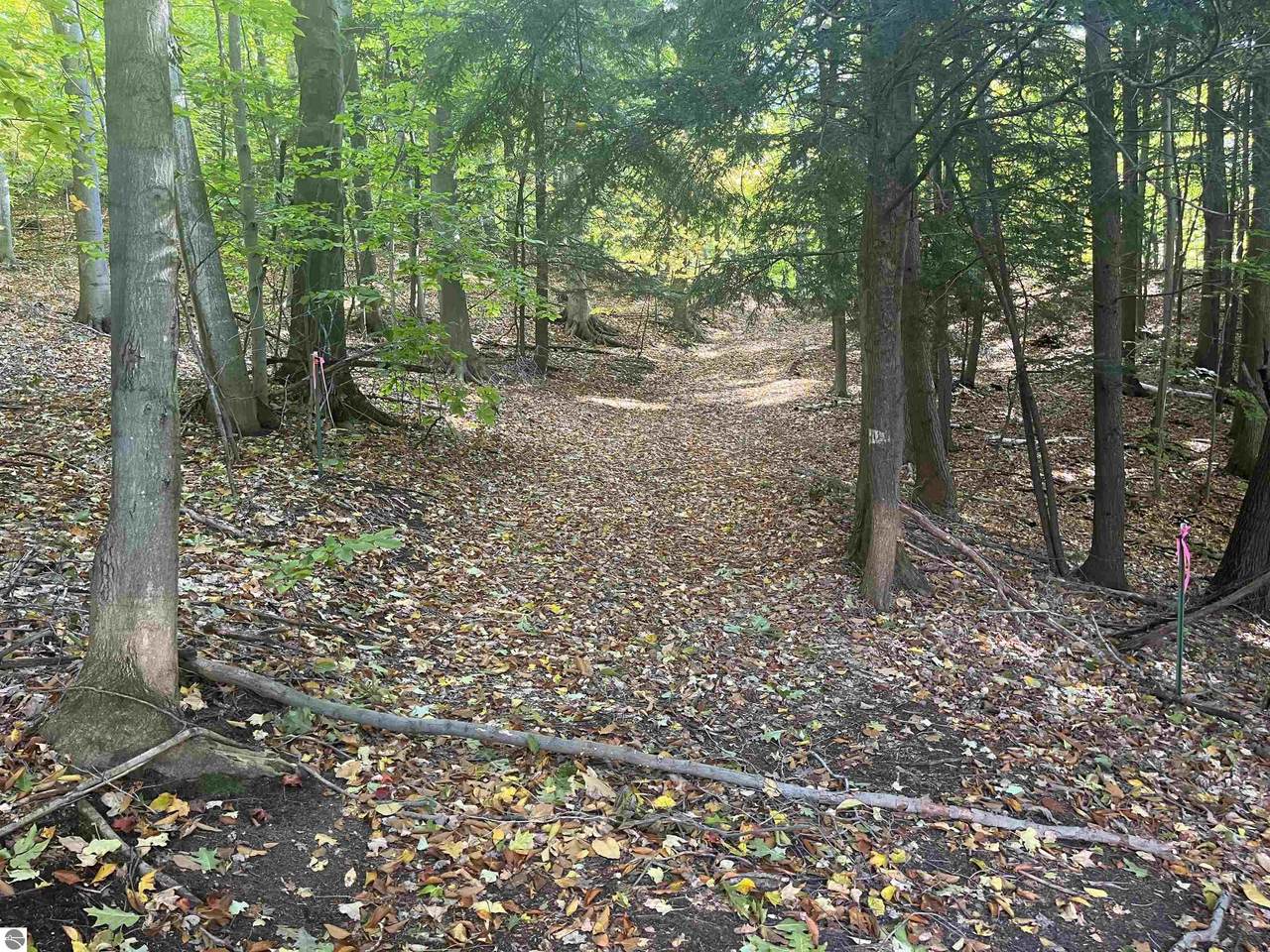00 Trumbull Road - Photo 1