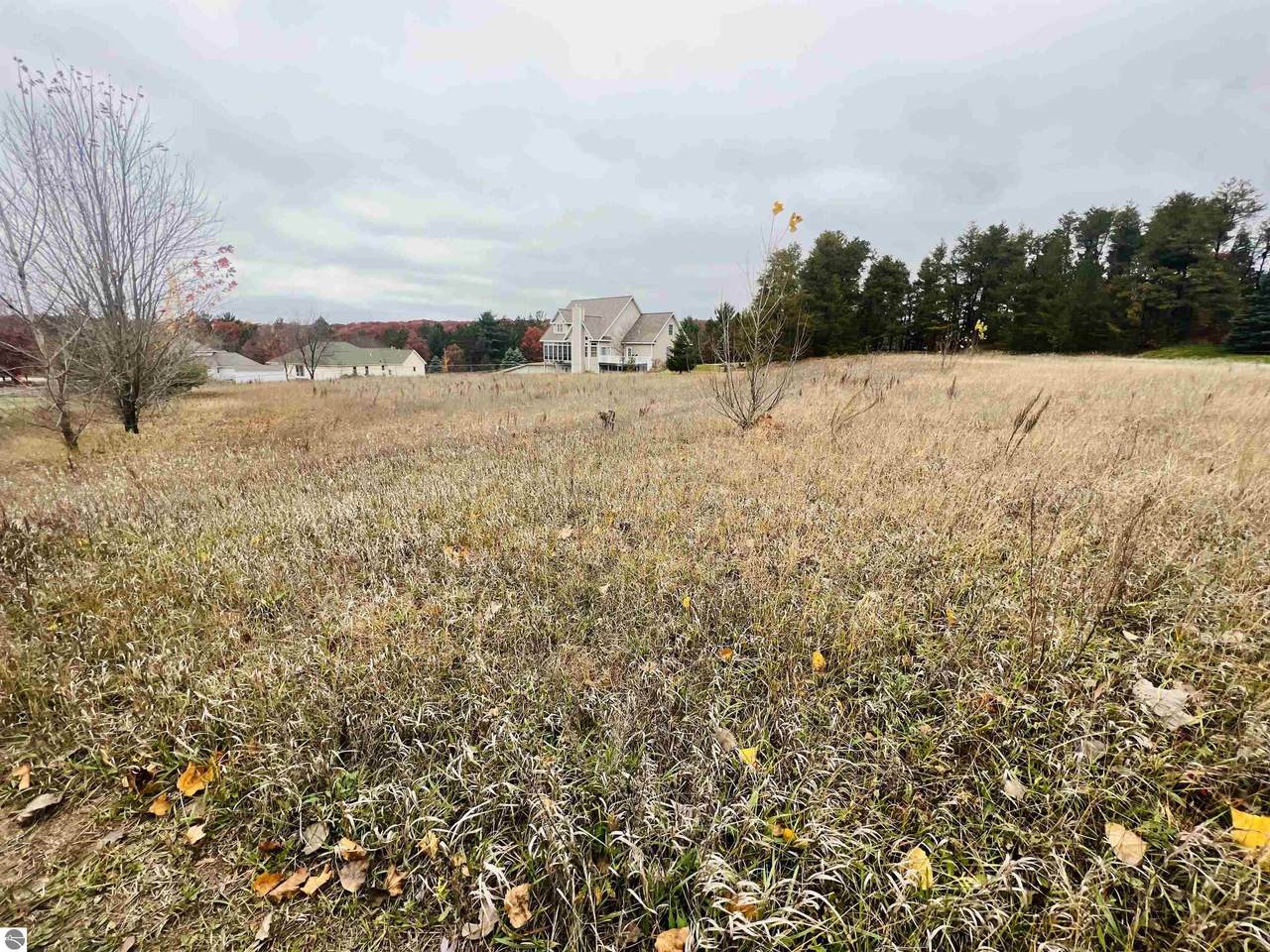Lot 104 Mockingbird Lane - Photo 1