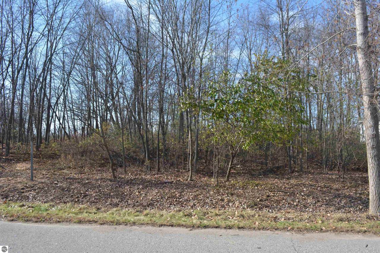 TBD Buckthorn Street - Photo 1