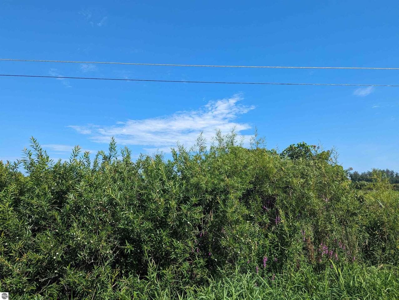 0 Court Street - Photo 1