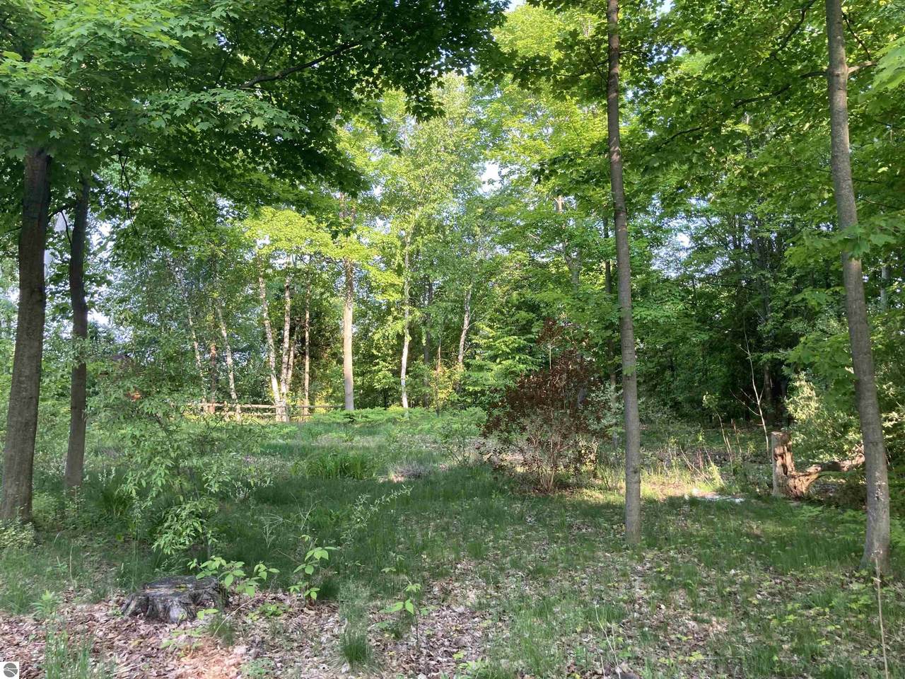 15615 Upper Birch Drive - Photo 1