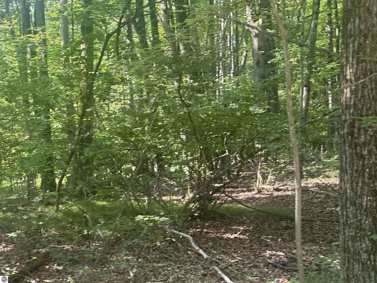 Lot # 179 Mockingbird Circle - Photo 1