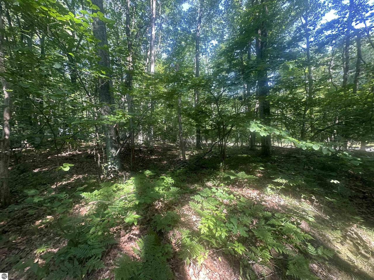 https://bt-photos.global.ssl.fastly.net/nglrmls/1280_boomver_1_1937325-2.jpg