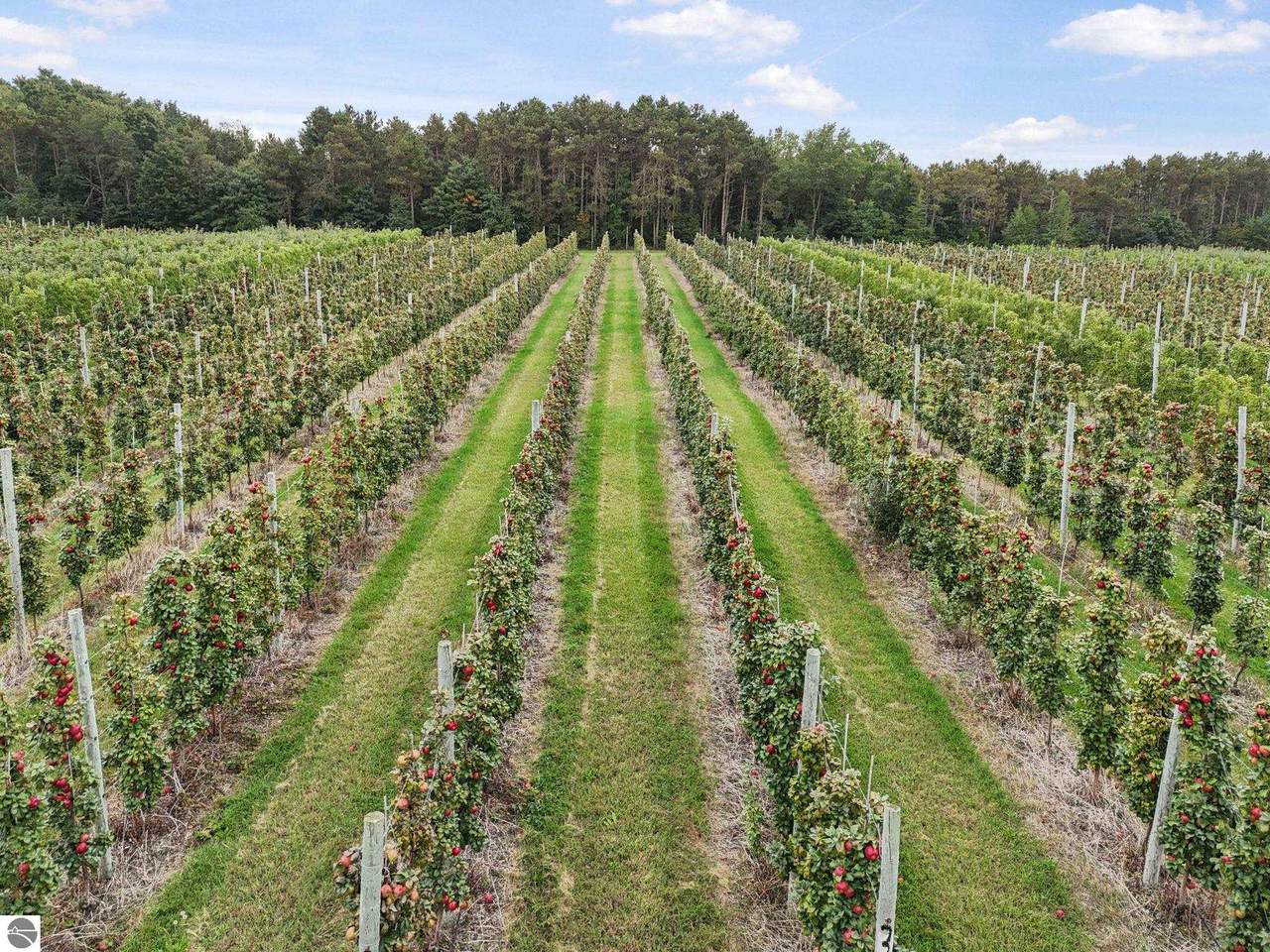 8200 Empire Highway - Photo 1