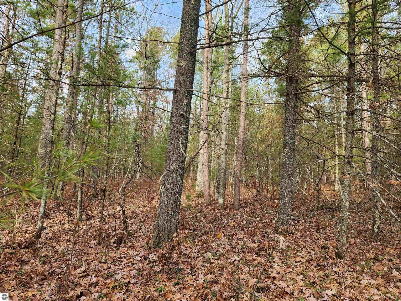 VL Hall Creek Road - Photo 1