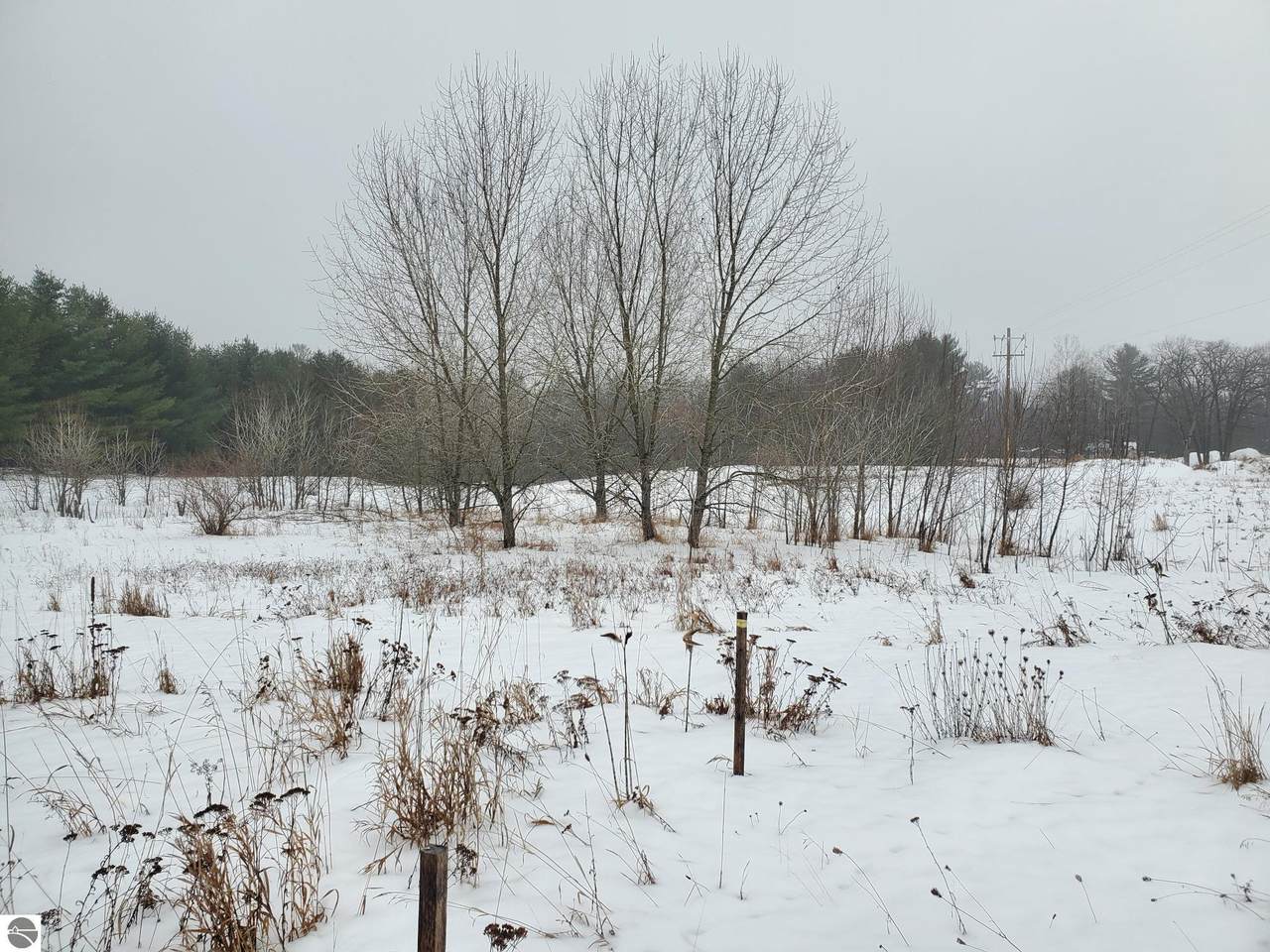 2788 Greenwood Road - Photo 1