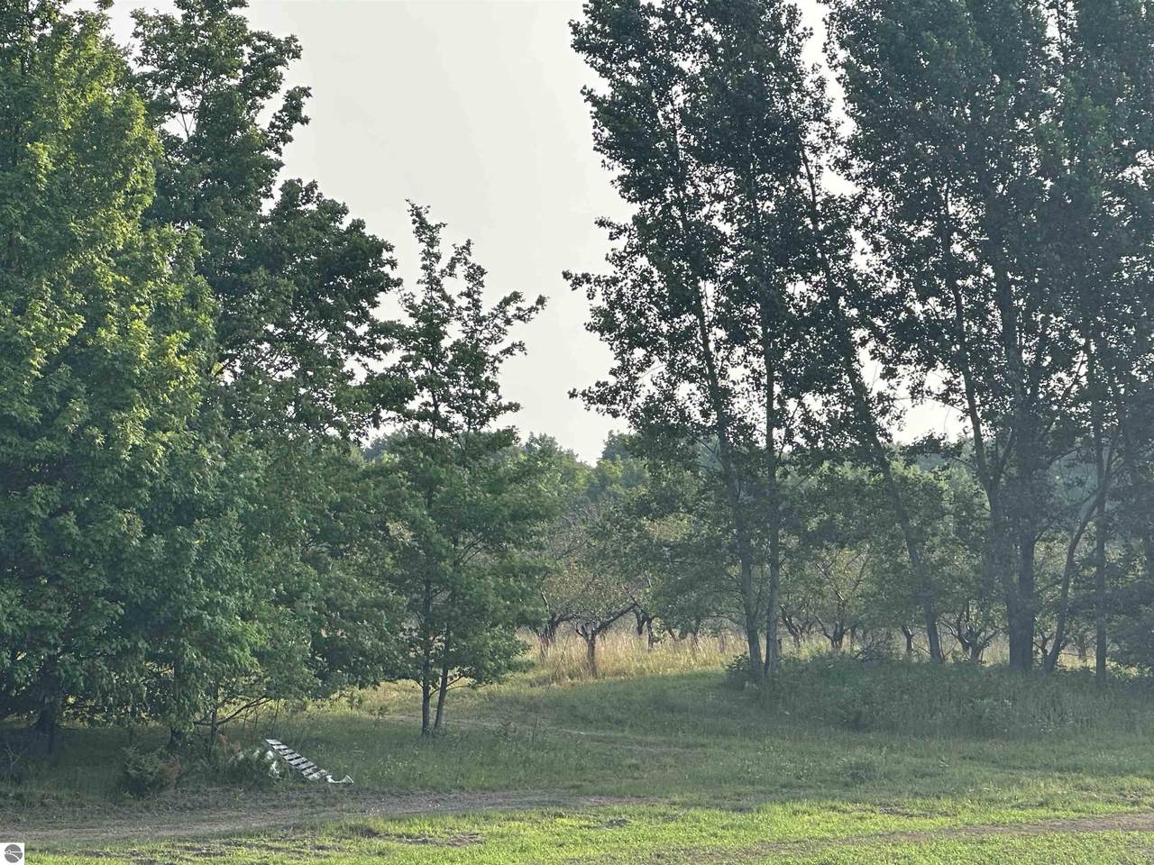 Parcel 9 Karnes Road - Photo 1