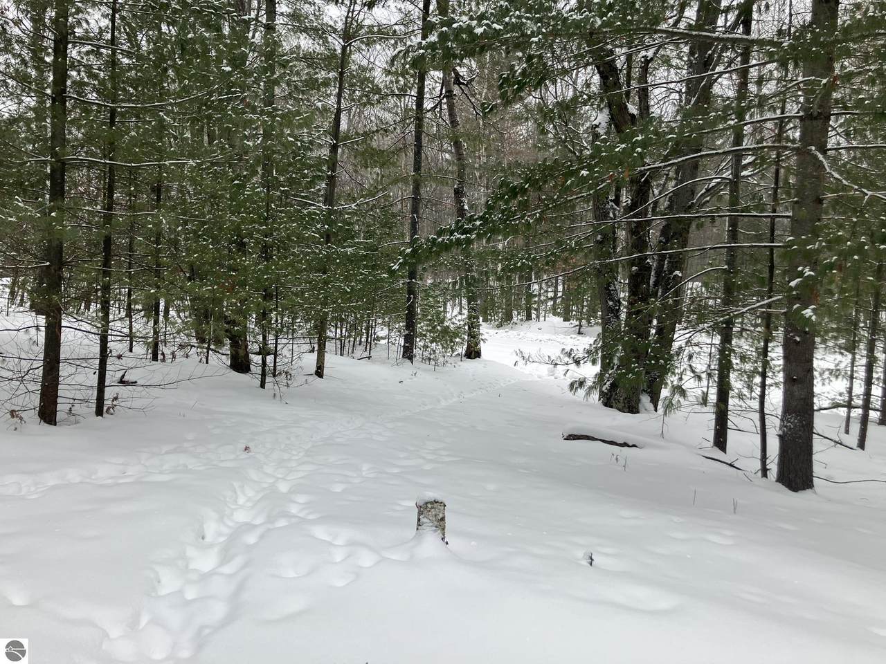 VL Wilderness Circle - Photo 1