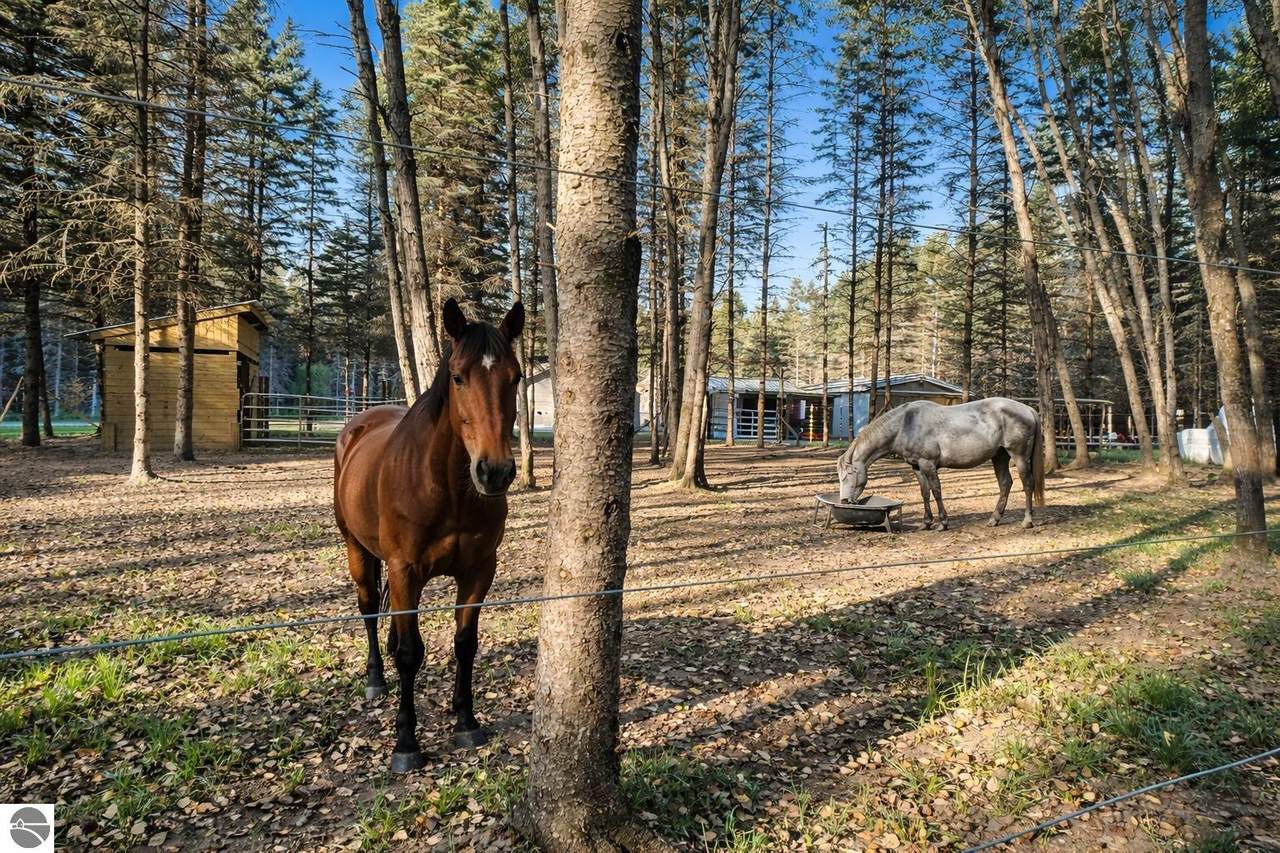 134 Menominee Trail - Photo 1