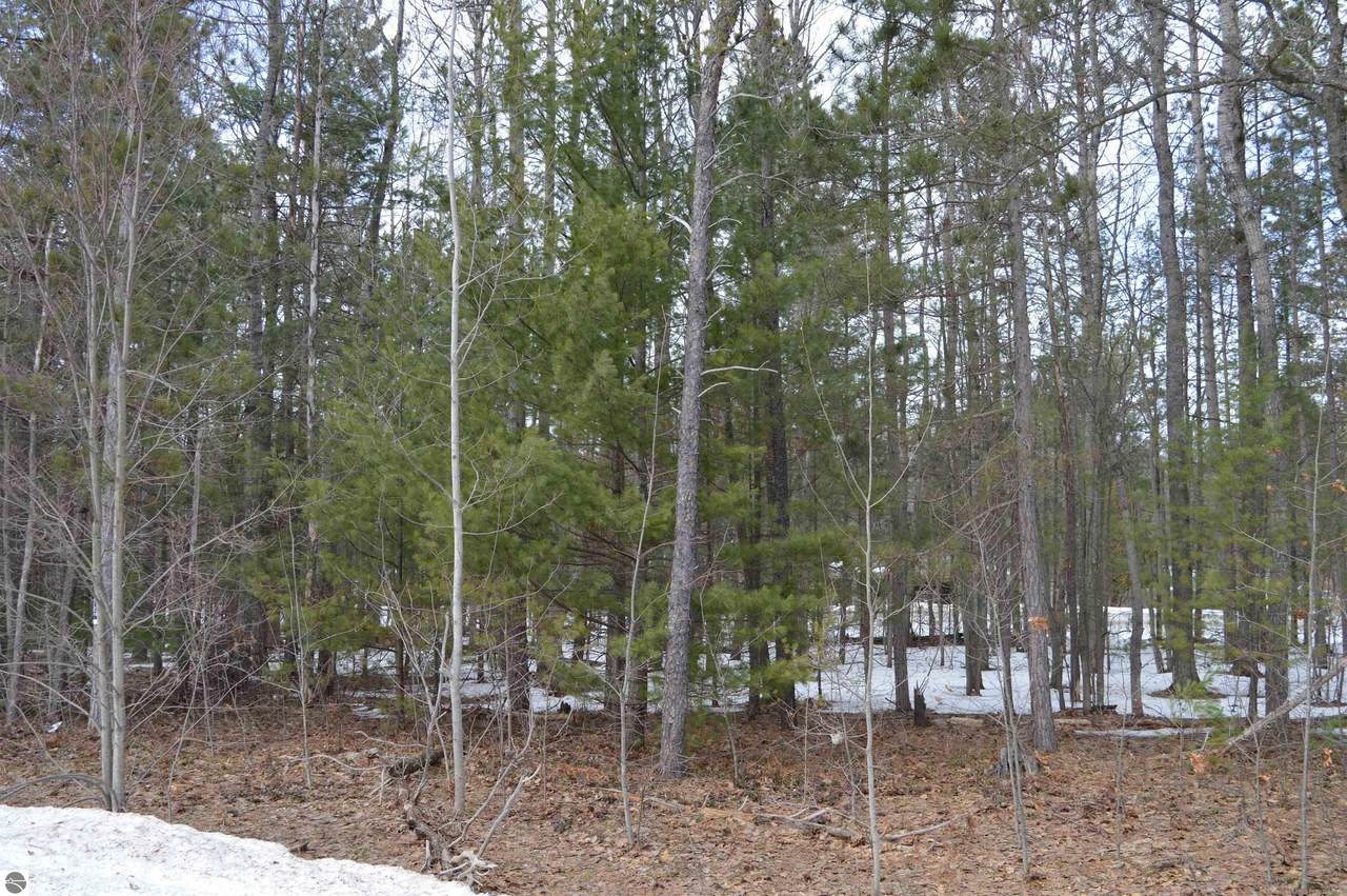 https://bt-photos.global.ssl.fastly.net/nglrmls/1280_boomver_1_1942821-2.jpg