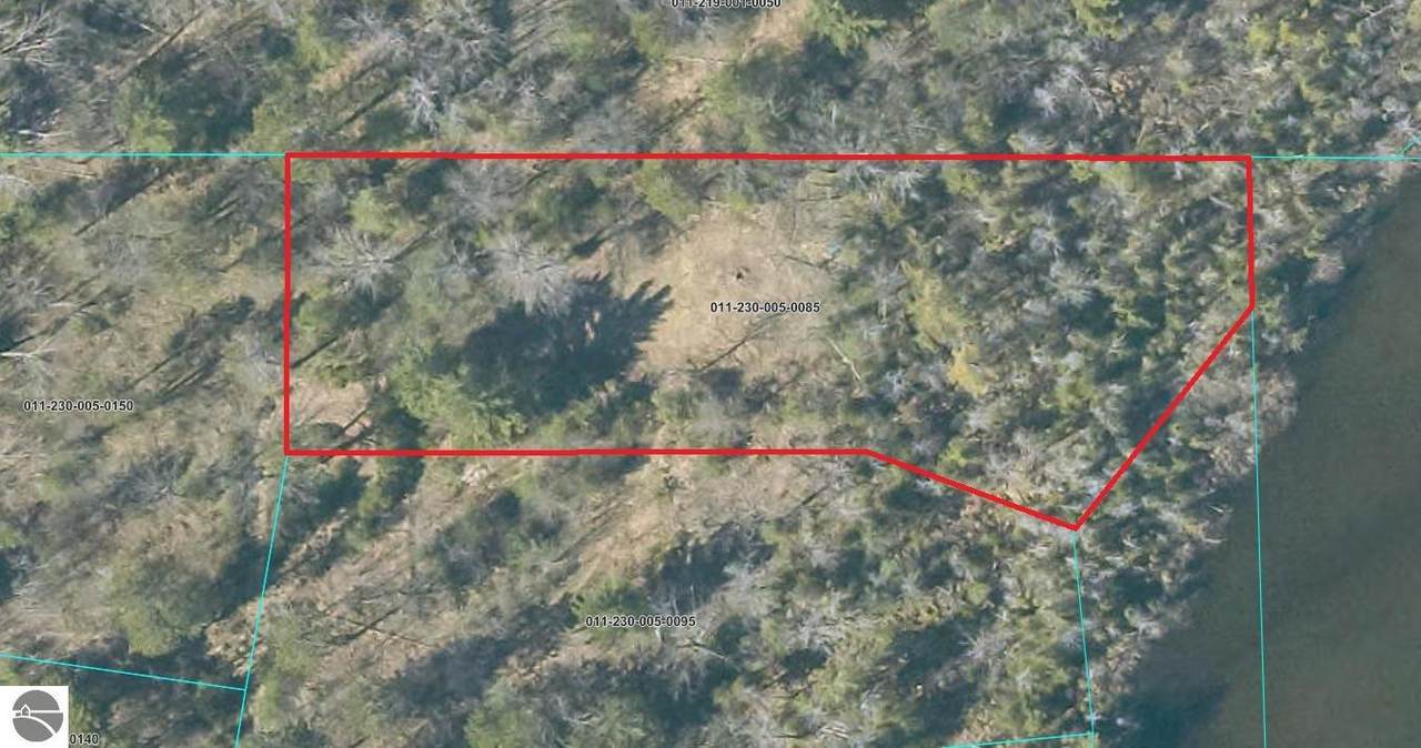 1.24 Acres Snowbowl Road - Photo 1