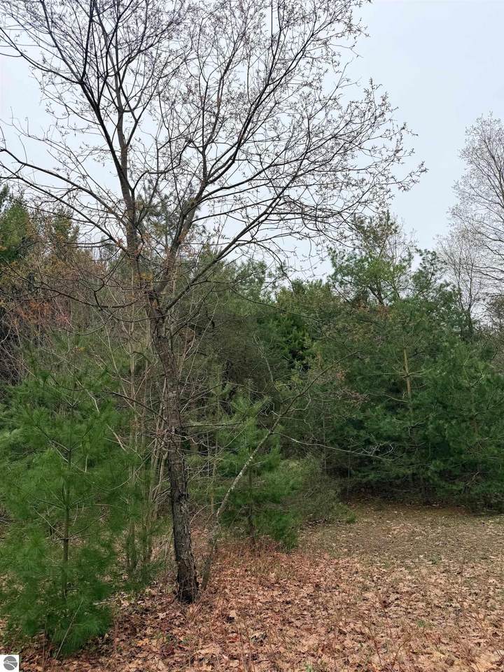 02 Woodland Trail - Photo 1