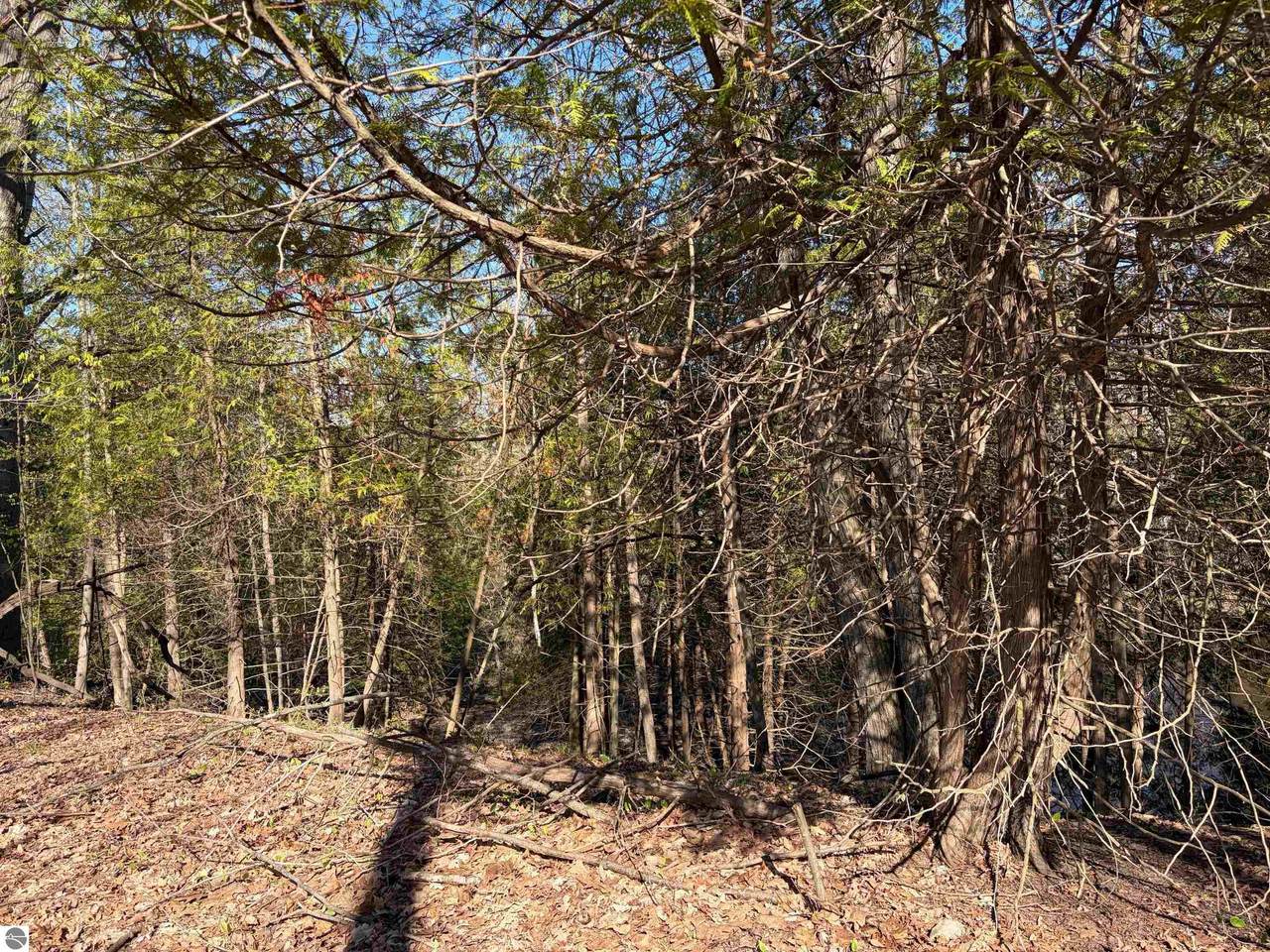 https://bt-photos.global.ssl.fastly.net/nglrmls/1280_boomver_1_1944688-2.jpg