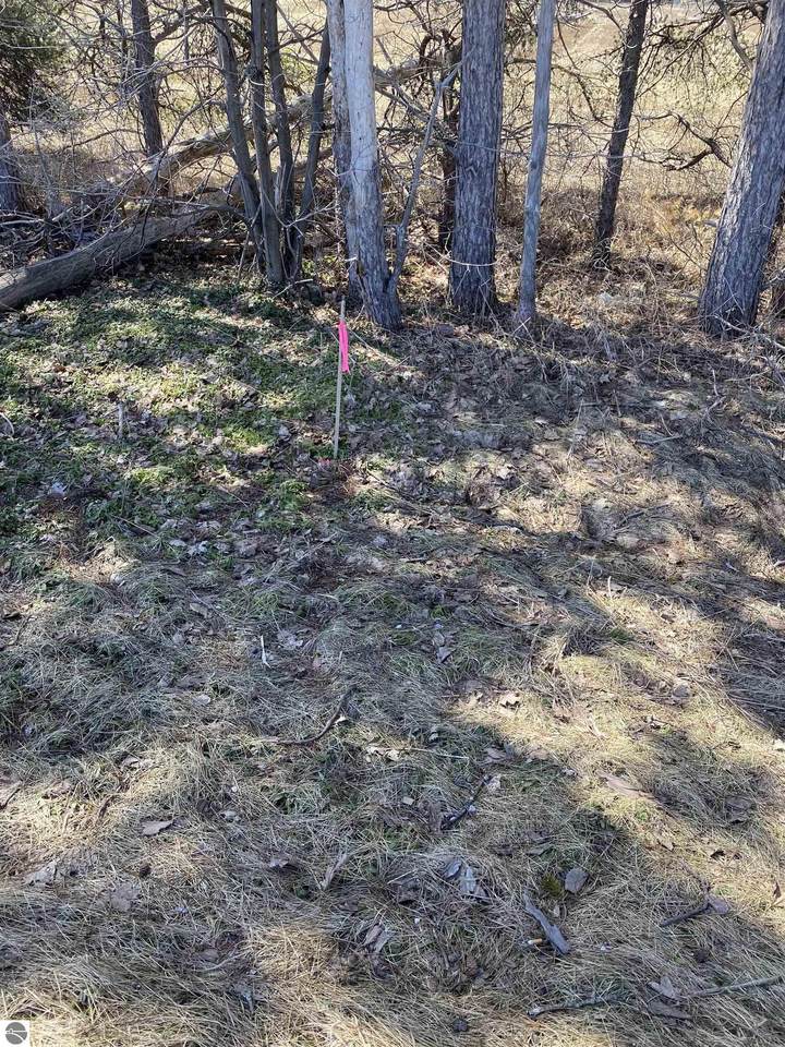 Parcel G County Road 571 - Photo 1