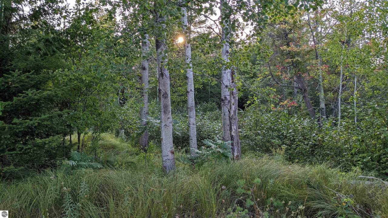 0 Four Mile Road - Photo 1