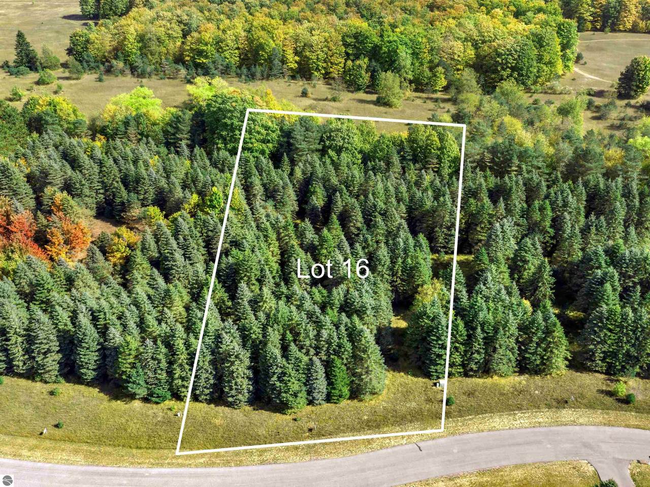 Lot 16 Lipp Farm Road - Photo 1