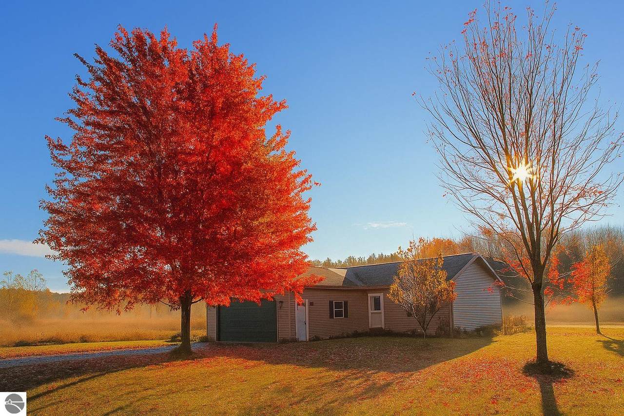 9297 Kingsfield Drive - Photo 1