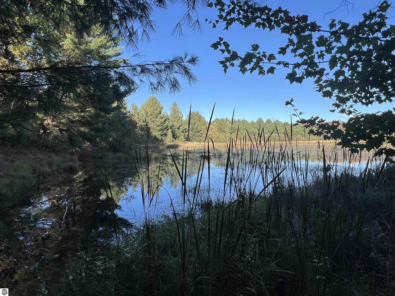 7556 210th Avenue - Photo 1