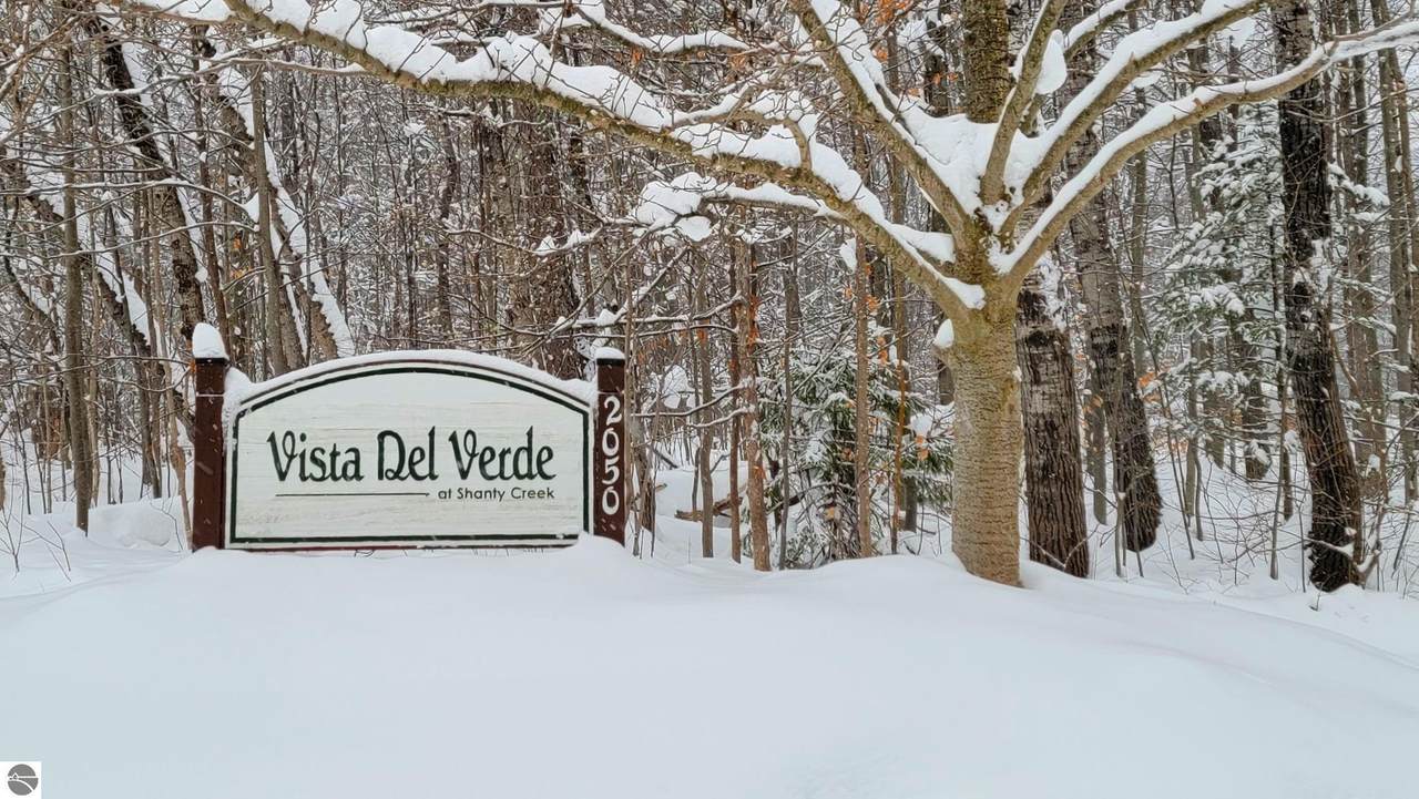 2050 Schuss Mountain Drive - Photo 1