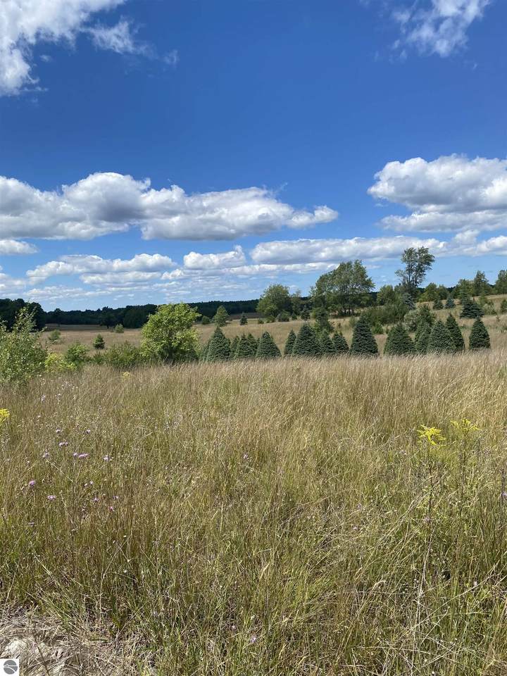 17.5 A Creighton Road - Photo 1