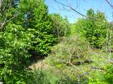 Lot 22 Bluff Lane - Photo 4