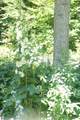 12158 Foxview Drive - Photo 43