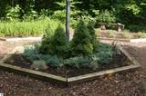 12158 Foxview Drive - Photo 8