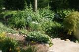 12158 Foxview Drive - Photo 9