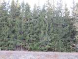1015 Spruce Hollow Trace - Photo 1
