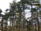 1015 Spruce Hollow Trace - Photo 10