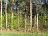 1015 Spruce Hollow Trace - Photo 7