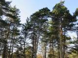 1015 Spruce Hollow Trace - Photo 9